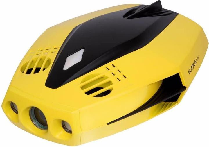 Actual product image Chasing Dory