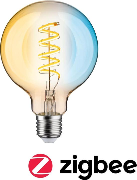 Image du produit Paulmann Globe (E27, 7.50 W, 600 lm, 1 x, G)