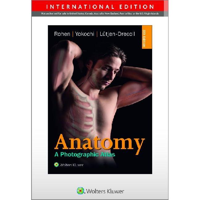 Color Atlas of Anatomy - international edition, Fachbücher von Elke Lütjen-Drecoll, Johannes W. Rohen, Chihiro Yokochi
