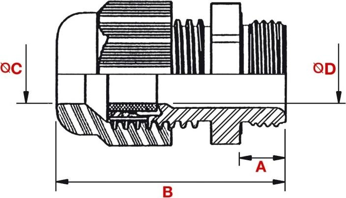 Actual product image Plica Cable gland