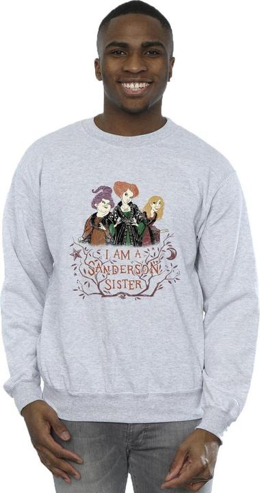 Produktbild Disney Hocus Pocus Sanderson Sister Sweatshirt (S)