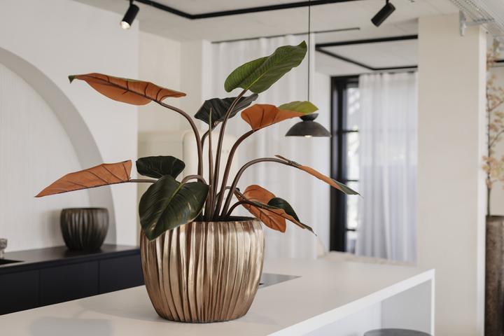 Actual product image Jaco Lite Glow Laudo (38 x 32 cm)