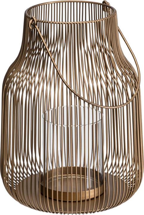 Immagine prodotto Johann Jakob Auri