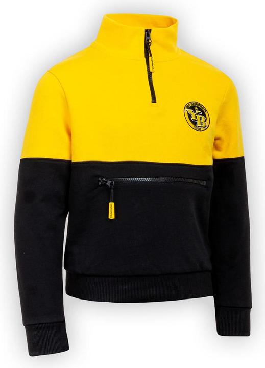 Produktbild BSC Young Boys YB Half Zip Kinder (110, 116)