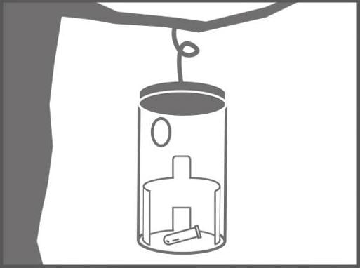 Productafbeelding Swissinno Buchsbaumzünsler-Falle inkl. 1x Pheromon