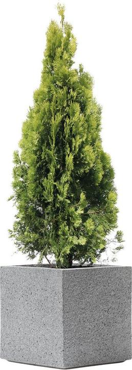 Produktbild Kirschke Rockline (44 cm)