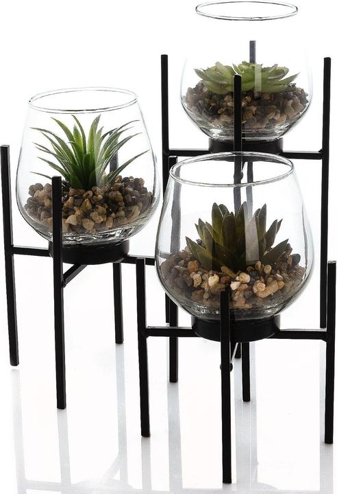 Produktbild Hestia Set aus 3 GlasPflanzgefässen mit künstlicher Sukkulente (22.50 cm)