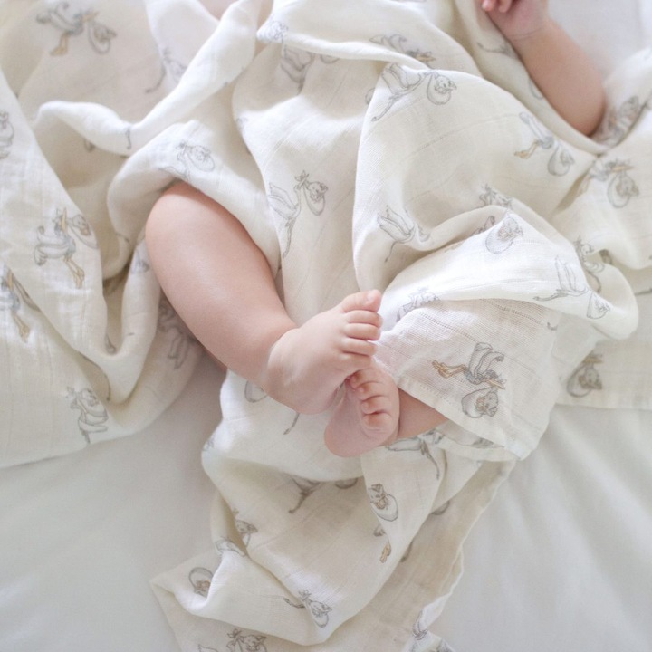 Produktbild aden + anais Spucktücher (70 cm, 70 cm)