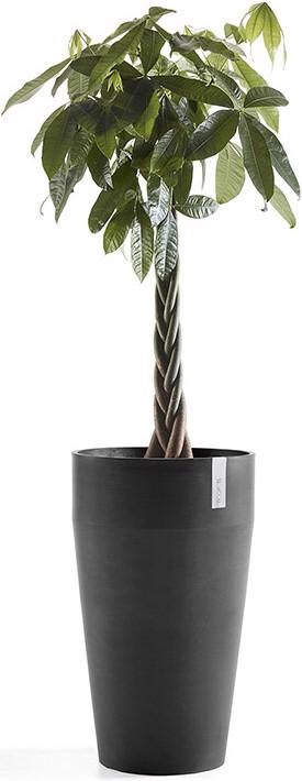 Produktbild Ecopots Sankara (45 x 75 cm)