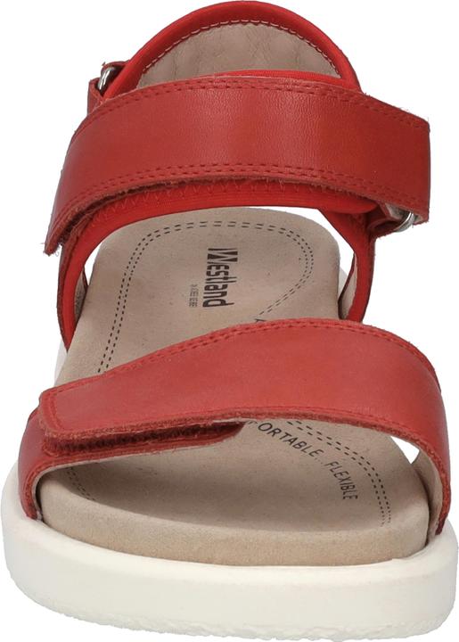 Produktbild Westland 25401-410 (38)