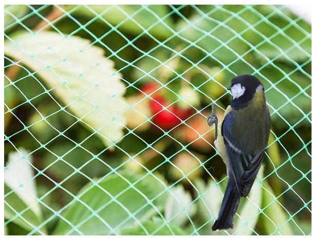 Productafbeelding Garden Lights VOGELBESCHERMINGSNET 4 x 10 m