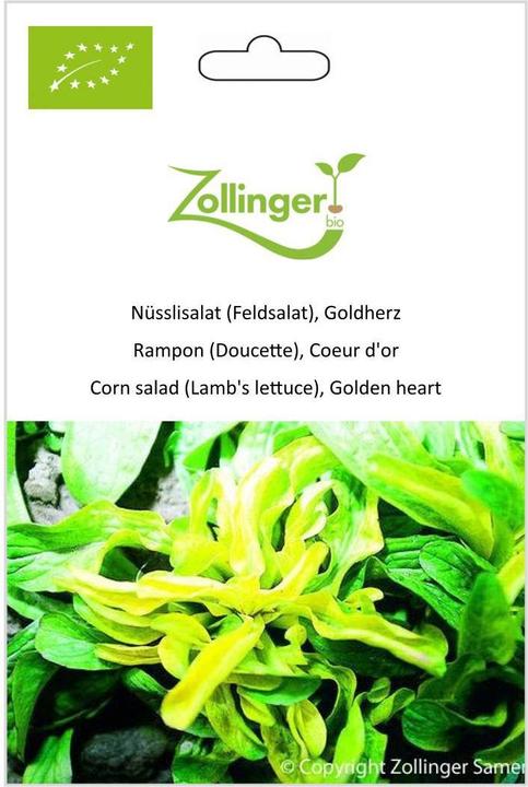 Actual product image Zollinger Bio Lamb's lettuce (lamb's lettuce), golden heart (Vegetable seeds)