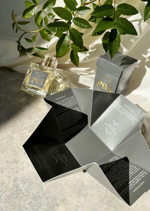 Immagine prodotto Aerlig Eau de Parfum P03 (Eau de parfum, 100 ml)