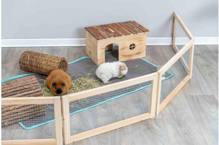 Actual product image Trixie Outdoor enclosure