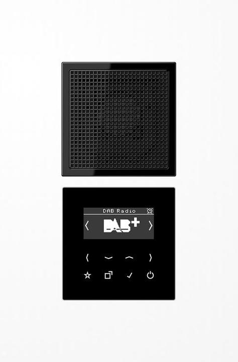Productafbeelding JUNG DABLS1SW DAB+ Set Mono (DAB+, FM)
