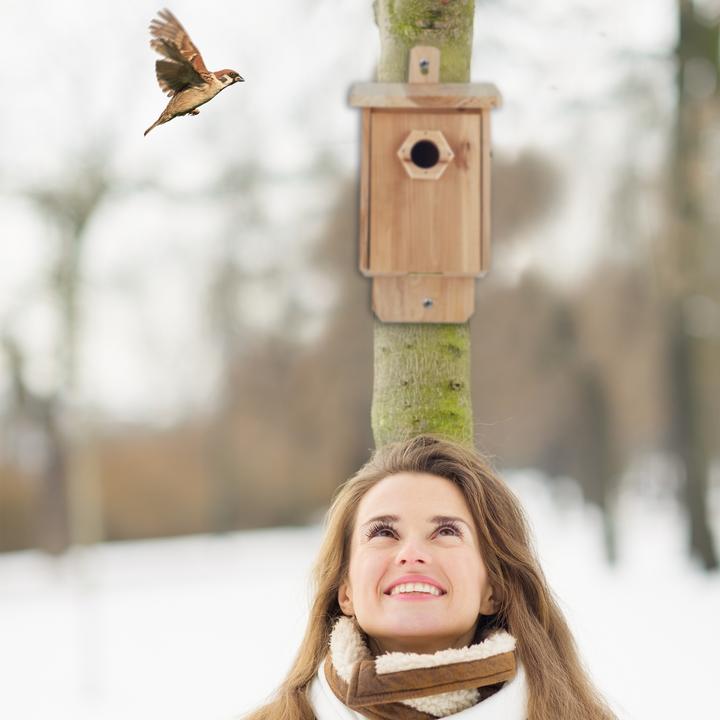 Produktbild Relaxdays Vogel Nistkasten