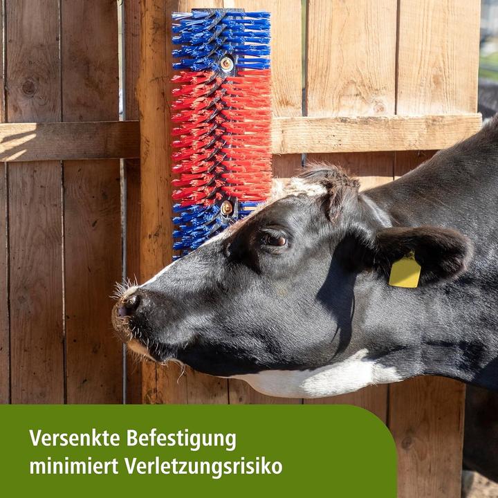 Image du produit Kerbl Brosse à gratter (Cheval)