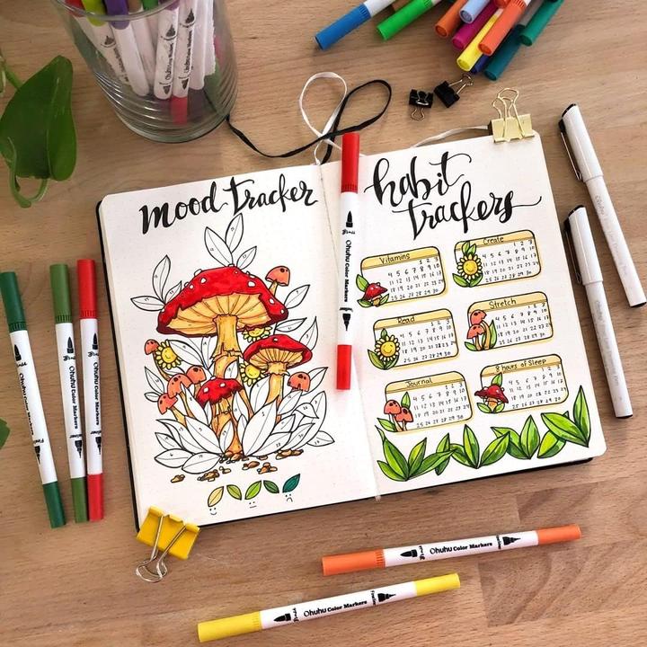 Image du produit Ohuhu Série Maui (60 x)