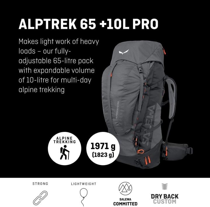 Produktbild Salewa Alptrek + L Pro (65 l)