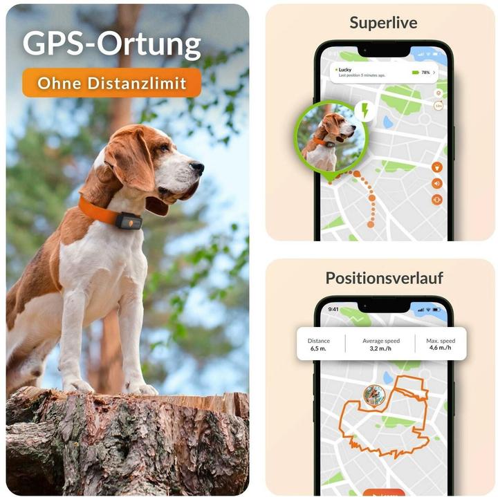Weenect GPS tracker (Dog)