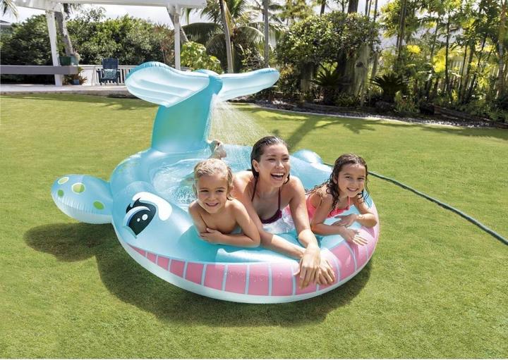 Image du produit Intex Baleine