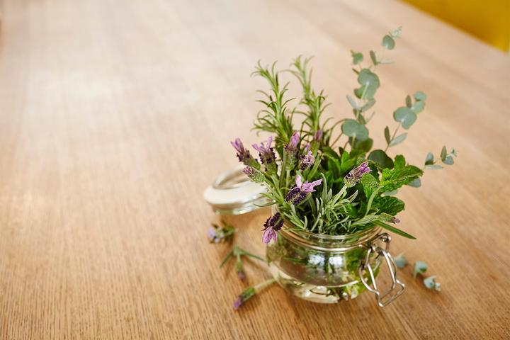 Immagine prodotto Welliebellies Animale di calore cane grande (30 cm)