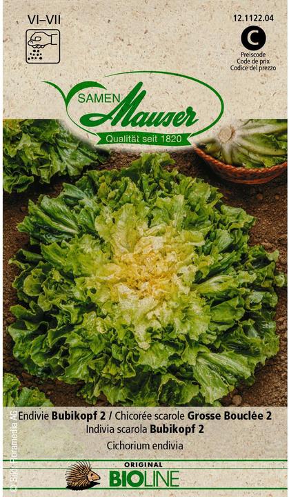 Produktbild Samen Mauser Bio Endivie Bubikopf 2 (Gemüsesamen)