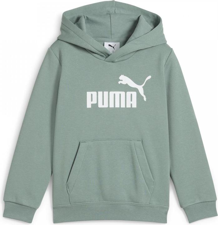 Image du produit Puma Sweat à capuche ESS No. 1 Logo FL PS (116)