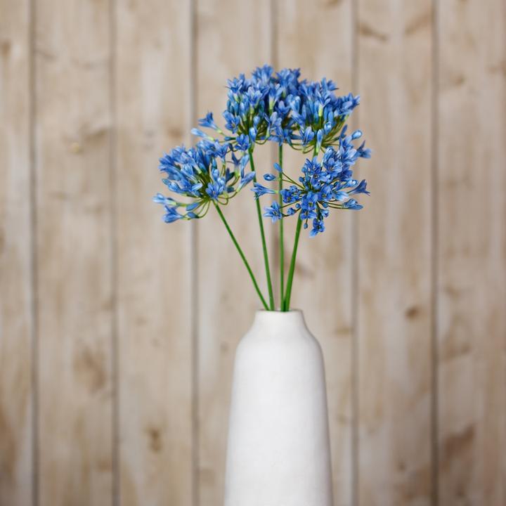 Immagine prodotto Hill Interiors Agapanto Fiore Artificiale Spray (75 cm)