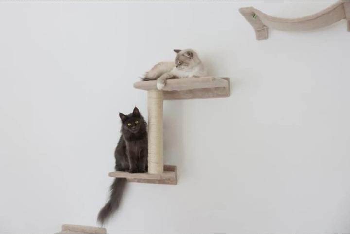 Immagine prodotto Kerbl Parete di arrampicata Zugspitze (44 cm, Beige)