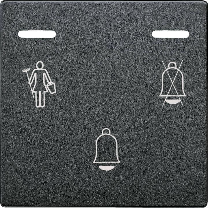 Merten Klingeltaster mit LED-Anzeigen, 587614