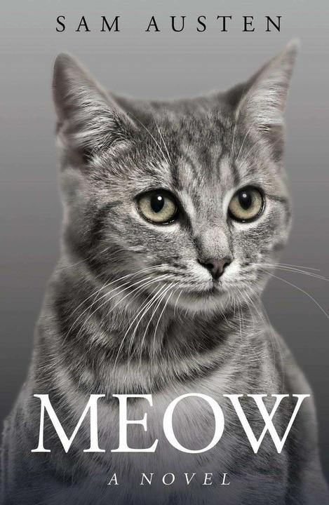 Image du produit Meow (Anglais, Sam Austen, 2023)