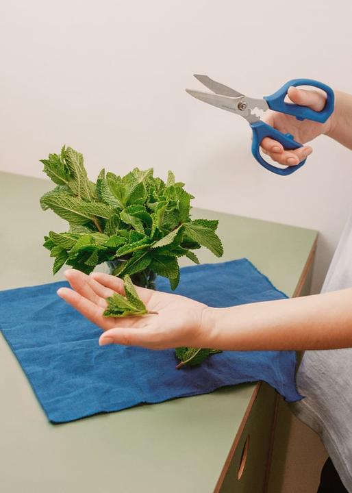 Actual product image Create Kitchenware Studio (21.20 cm)