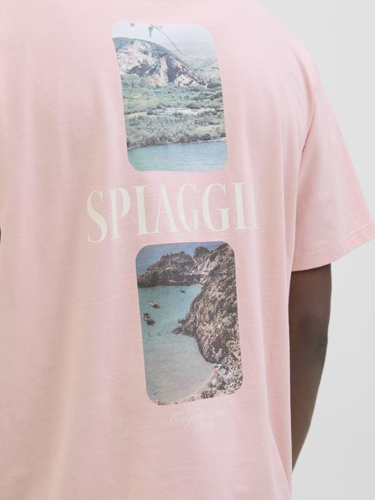 Immagine prodotto Jack & Jones Jorhydra Photo Tee Ss Crew Neck (L)