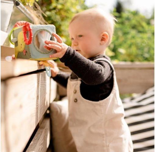 Actual product image Fehn Activity Cube Happy Dino