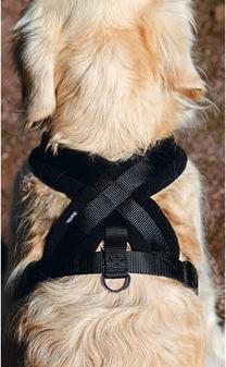 Produktbild Karlie Art Sportiv Plus Geschirr Cross (Hund, Hundesport)