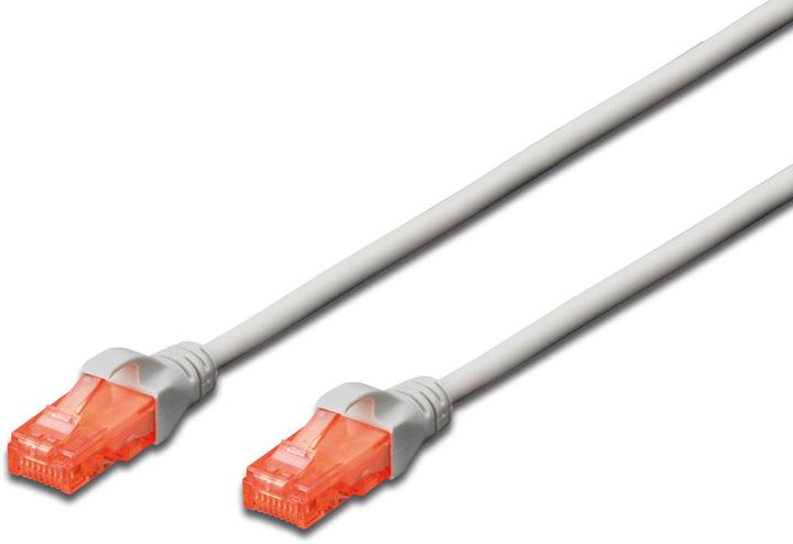 Image du produit Digitus Câble de réseau (U/UTP, CAT6, 0.50 m)
