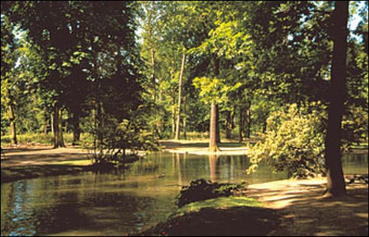 Produktbild Cokin Filter P030 85B (84 mm, Farbfilter, 84 mm)