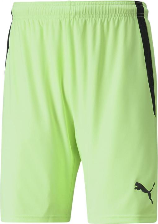 Image du produit Puma Short teamLIGA-704924 (S)