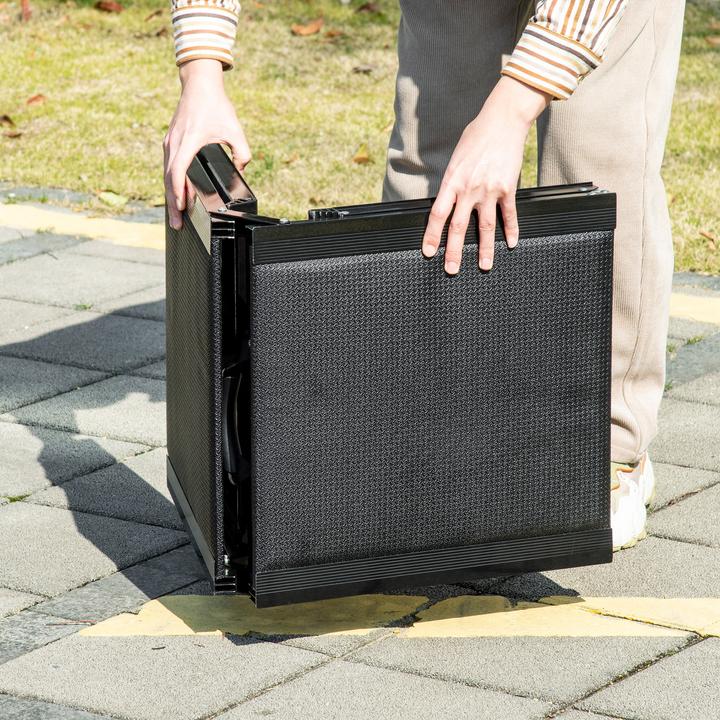 Actual product image PawHut Haustierrampe faltbar mit Griff (Dog, Foldable)