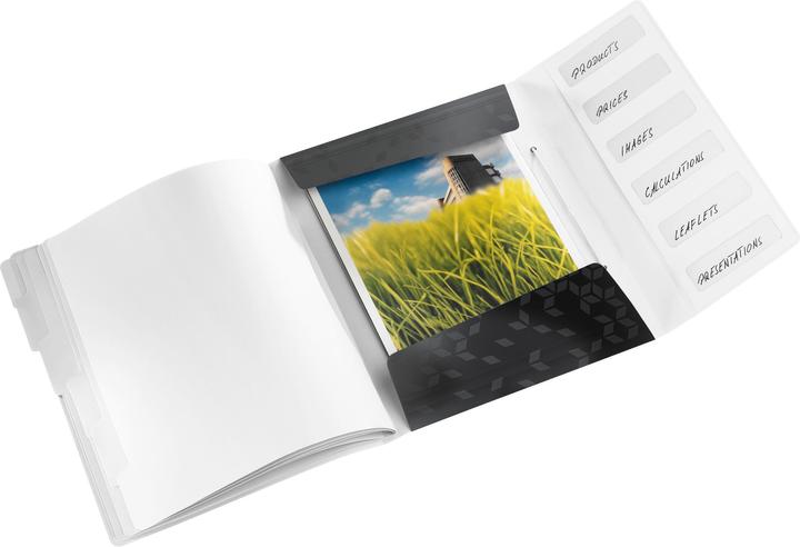 Produktbild Leitz WOW - Ordner mit Abteilungen (A4, 1x)