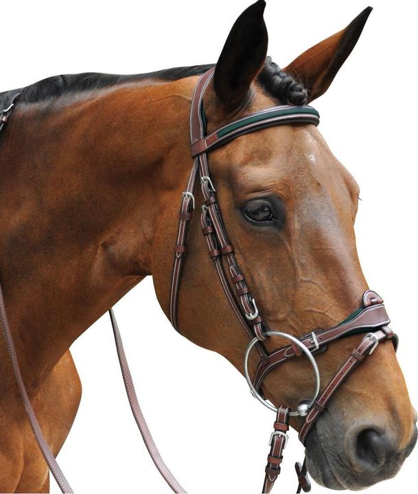 Image du produit Flags&Cup bridons équitation combiné paris
