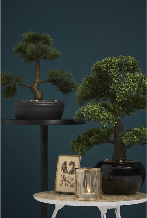 Immagine prodotto Emerald Pianta artificiale (47 cm)