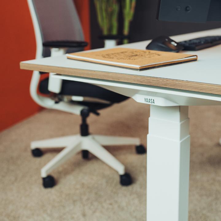 Immagine prodotto Yaasa Desk Expert (160 x 80 cm)