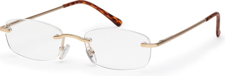 Filtral Hamburg gold (+2.5)