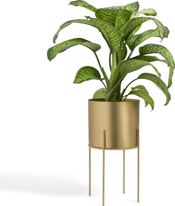 Produktbild La Redoute Interieurs Inaya (28 x 53.50 cm)