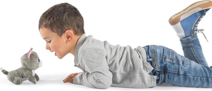 Image du produit Smoby Maison du chat