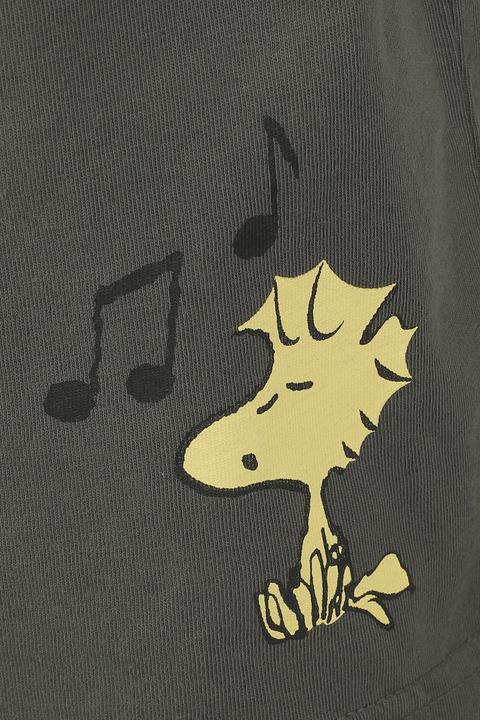 Produktbild Peanuts Snoopy und Woodstock (S)