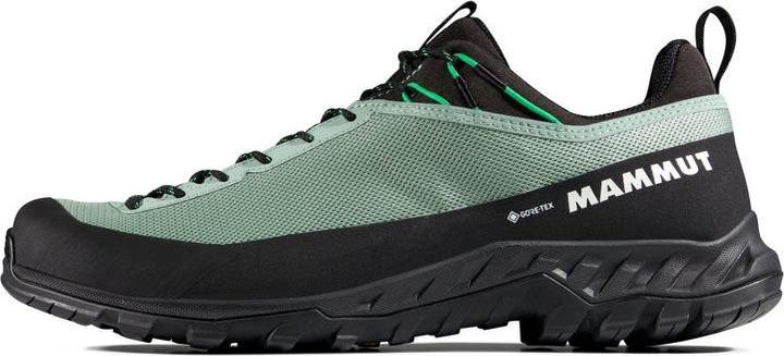 Produktbild Mammut Alnasca IV Low GTX Men (48)