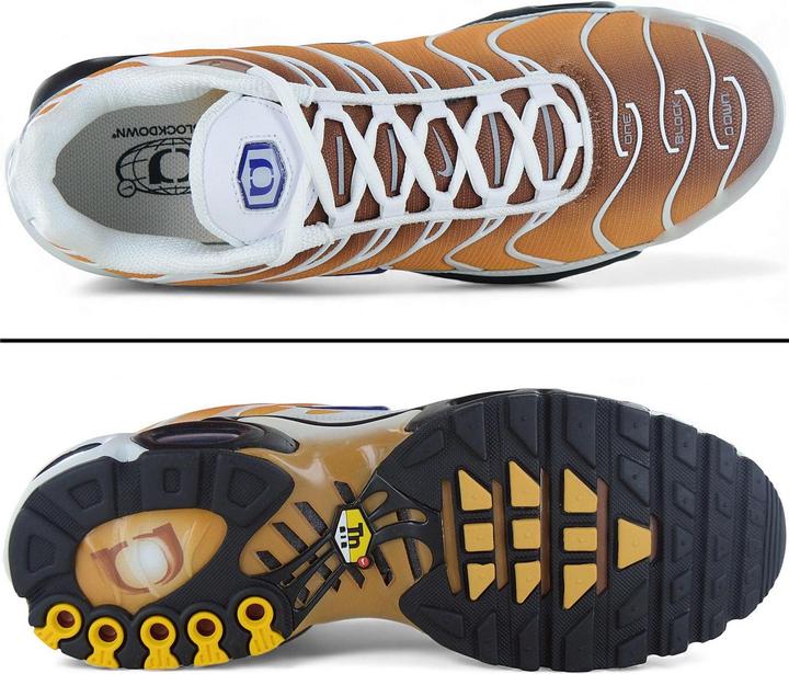 Image du produit Nike Air Max Plus One Block Down (43)